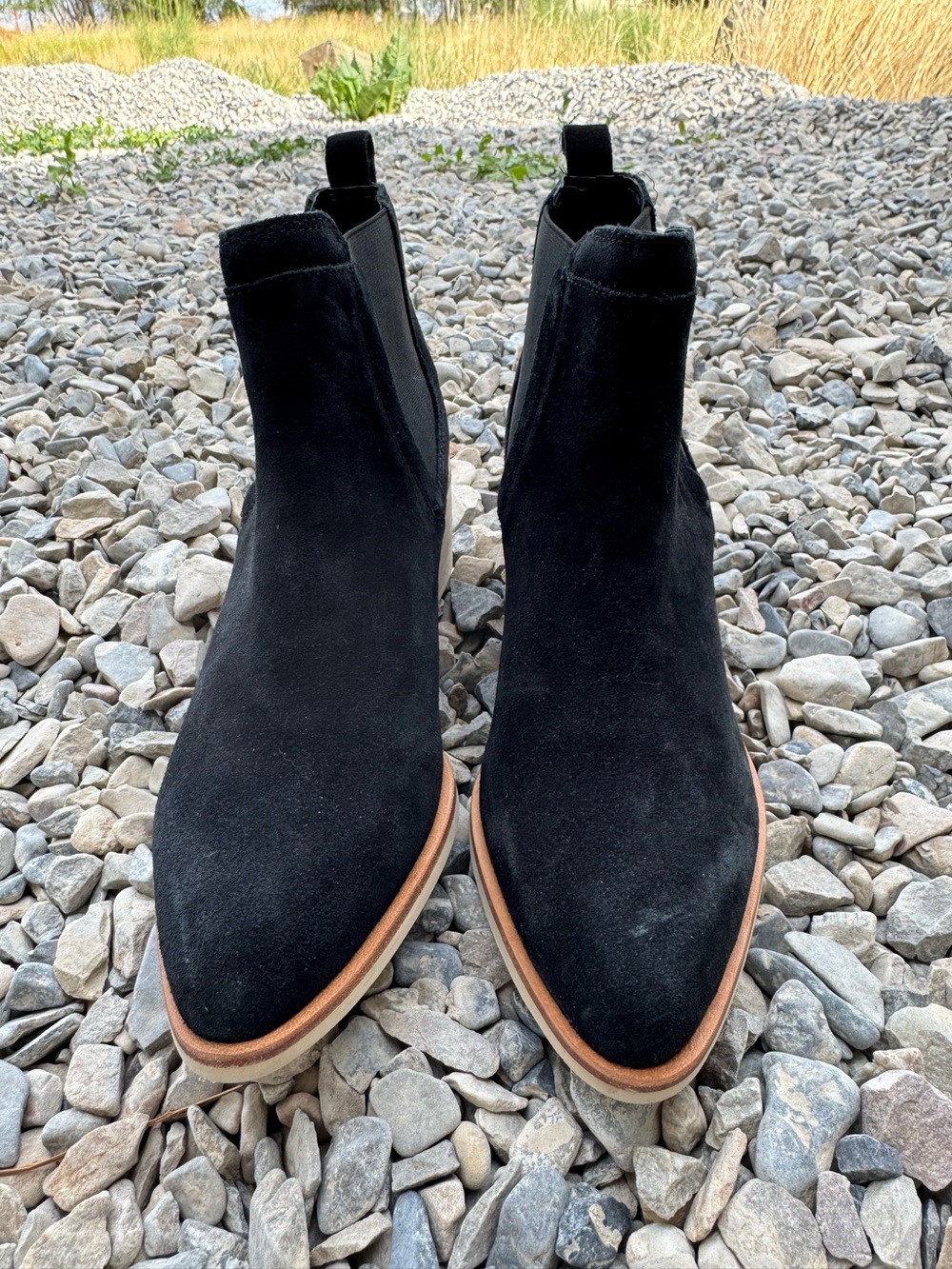 NEW Crevo Maeva Black Suede Chelsea Booties with Brown Trim
